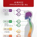 브레라인에스테틱