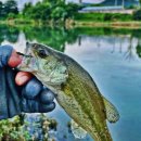 왕숙천 자전거도로12 이미지