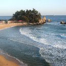 동해바다 이미지