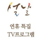 2026 설 특집 프로그램 정보 이미지