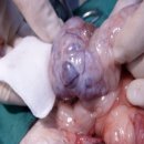 강앤정 동물병원 이미지