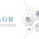 에스티팜, 4Q24 실적 분석: 올리고 매출 성장과 향후 전망