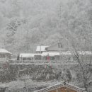 산머루펜션 이미지