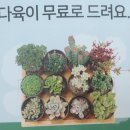 세원세탁소 이미지