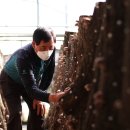 청양육개장 이미지