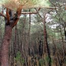 청도의하루 이미지