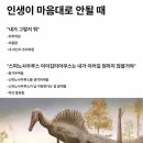 (주)아쿠스