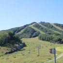 신안종합콘도미니엄 이미지