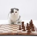 진서동물병원 이미지