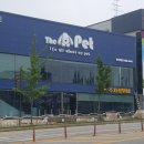 디위드동물병원 이미지