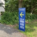 수지구청 대회의실 | 화이자 백신 사전예약부터 접종까지 + 리얼 생생 후기, 예약 변경 방법 :: 용인 구 경찰대학교 코로나...