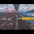 남양농약사