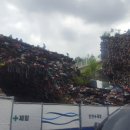 말조형물(동상) 이미지