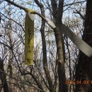 정봉마을회관 이미지