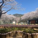 어울림공원 이미지