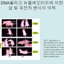 (주)핵산바이오