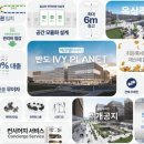 아이비다음커뮤니티
