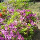 평동로23길 이미지