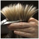 헤어자격 이미지