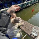 카페패밀리 | 아이가 더 신났던 시흥빙어낚시, 패밀리야외낚시카페 빙어축제 후기