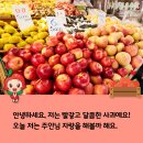 오빠네과일가게 네이버블로그