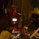 반디랜드 야영지 1 이미지