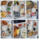 하이본병원 | 울산 하이본병원 입원 수술 팔꿈치 통증 수술 목디스크 MRI