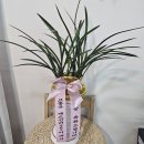 동호축산 이미지