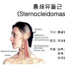 파인드 핏 이미지