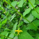 당감초등학교 병설유치원 이미지