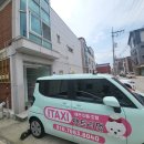 펫트리멍 이미지