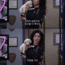 따봉 - 제주시 삼무로 40 | 따봉