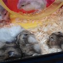 작은동물원수족관 이미지