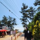 몽산포주차장 이미지