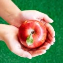 김종구농장 이미지