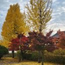 영천서원 이미지