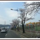 창원대로 이미지