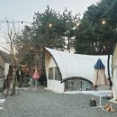 청계산골든밸리가족캠핑장 이미지