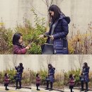 하엘 이미지