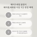 네일헤이즈