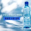 골프보스