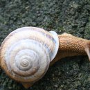 부리우체국 이미지