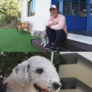 동물농장 이미지