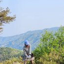 세븐일레븐 춘천온의대로점 | 강원도 춘천 클럽디 더플레이어스 마운틴 코스 라운드 후기