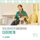 더이쁘개 이미지