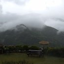 견불동정원 이미지