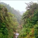 의림지-03 이미지