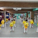 다온태권도 이미지