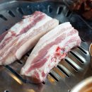 섬돼지 이미지