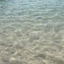 진달래민박 이미지